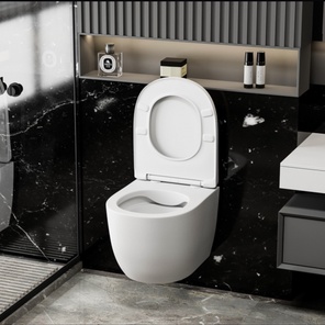 Унитазы и инсталляции